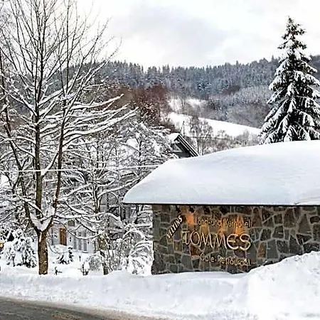 Ξενοδοχείο Land- Und Tommes 4*